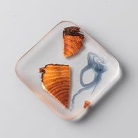 Funki Buys | Coasters | Pine Resin Mug Coasters Non-Slip | 6 Pcs Set