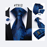 Funki Buys | Neck Ties | Men's Luxury 3Pcs Formal Tie Sets