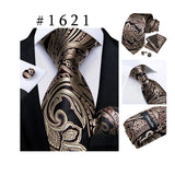 Funki Buys | Neck Ties | Men's Luxury 3Pcs Formal Tie Sets