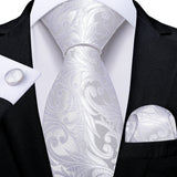 Funki Buys | Neck Ties | Men's Luxury 3Pcs Formal Tie Sets
