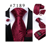 Funki Buys | Neck Ties | Men's Luxury 3Pcs Formal Tie Sets