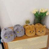Funki Buys | Shoes | Women's Angry Kitten Slippers