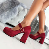 Funki Buys | Shoes | Women's Faux Suede Mary Jane Platforms