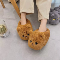 Funki Buys | Shoes | Women's Angry Kitten Slippers