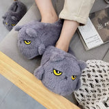 Funki Buys | Shoes | Women's Angry Kitten Slippers