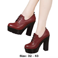 Funki Buys | Shoes | Women's Lace Up Platform Mary Janes