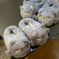 Funki Buys | Shoes | Women's Angry Kitten Slippers