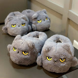 Funki Buys | Shoes | Women's Angry Kitten Slippers