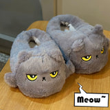 Funki Buys | Shoes | Women's Angry Kitten Slippers