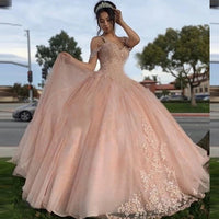Funki Buys | Dresses | Women's Tulle Princess Ball Gown | Quinceanera