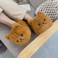 Funki Buys | Shoes | Women's Angry Kitten Slippers