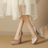 Funki Buys | Shoes | Women's Elegant Satin High Heel Pumps