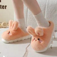 Funki Buys | Shoes | Women's Cute Rabbit Slippers
