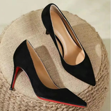 Funki Buys | Shoes | Women's Luxury Red Soles Suede Stiletto Pumps