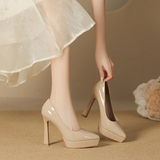 Funki Buys | Shoes | Women's Elegant Patent High Heel Pumps