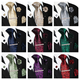 Funki Buys | Neckties | Men's 5pcs Silk Floral Champagne Tie Set