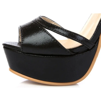 Funki Buys | Shoes | Women's Elegant Super High Stiletto Sandals