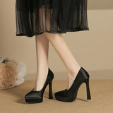 Funki Buys | Shoes | Women's Elegant Satin High Heel Pumps