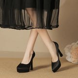 Funki Buys | Shoes | Women's Elegant Satin High Heel Pumps