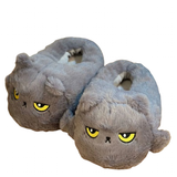 Funki Buys | Shoes | Women's Angry Kitten Slippers