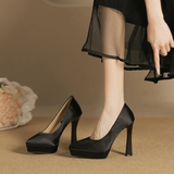 Funki Buys | Shoes | Women's Elegant Satin High Heel Pumps