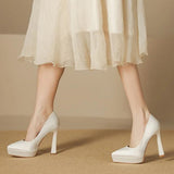 Funki Buys | Shoes | Women's Elegant Satin High Heel Pumps