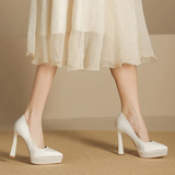 Funki Buys | Shoes | Women's Elegant Satin High Heel Pumps