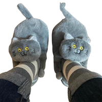 Funki Buys | Shoes | Women's Soft Cat Hug Slippers