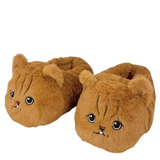 Funki Buys | Shoes | Women's Angry Kitten Slippers