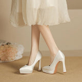 Funki Buys | Shoes | Women's Elegant Satin High Heel Pumps