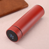 Funki Buys | Water Bottles | Water Bottle with LED Temp Display