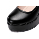 Funki Buys | Shoes | Women's Genuine Leather High Heeled Mary Janes