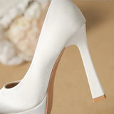 Funki Buys | Shoes | Women's Elegant Satin High Heel Pumps
