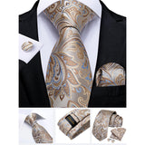 Funki Buys | Neckties | Men's Stylish 3 Pcs Paisley Tie Set