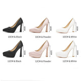Funki Buys | Shoes | Women's Elegant Satin High Heel Pumps