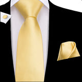 Funki Buys | Neckties | Men's Classic 3 Pcs Yellow Gold Tie Set