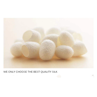 Funki Buys | Neckties | Men's 3pcs White Silk Wedding Tie Sets