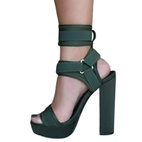 Funki Buys | Shoes | Women's Chunky Heel Strappy Sandals