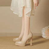 Funki Buys | Shoes | Women's Elegant Patent High Heel Pumps