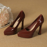 Funki Buys | Shoes | Women's Elegant Patent High Heel Pumps