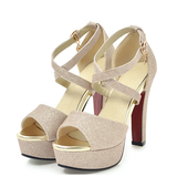 Funki Buys | Shoes | Women's Sequin High Platform Sandals