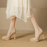 Funki Buys | Shoes | Women's Elegant Patent High Heel Pumps