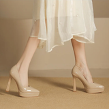 Funki Buys | Shoes | Women's Elegant Patent High Heel Pumps