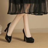 Funki Buys | Shoes | Women's Elegant Patent High Heel Pumps
