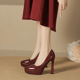 Funki Buys | Shoes | Women's Elegant Patent High Heel Pumps
