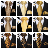 Funki Buys | Neckties | Men's Classic 3pcs Gold Tie Set