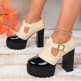 Funki Buys | Shoes | Women's Chunky Block Heeled Mary Janes
