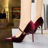 Funki Buys | Shoes | Women's Luxury Velvet Pointed Toe Stiletto Pumps