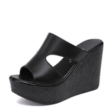 Funki Buys | Shoes | Women's High Heel Wedge Sandal | Gothic Platforms