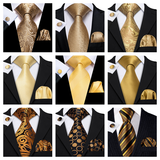 Funki Buys | Neckties | Men's Classic 3pcs Gold Tie Set